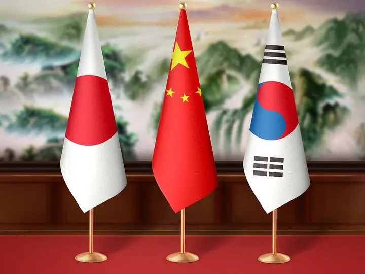 삼자 정상회의 | 중국, 한국 및 일본